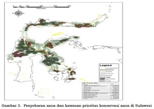 Peta penyebaran anoa dan kawasan prioritas konservasi anoa
